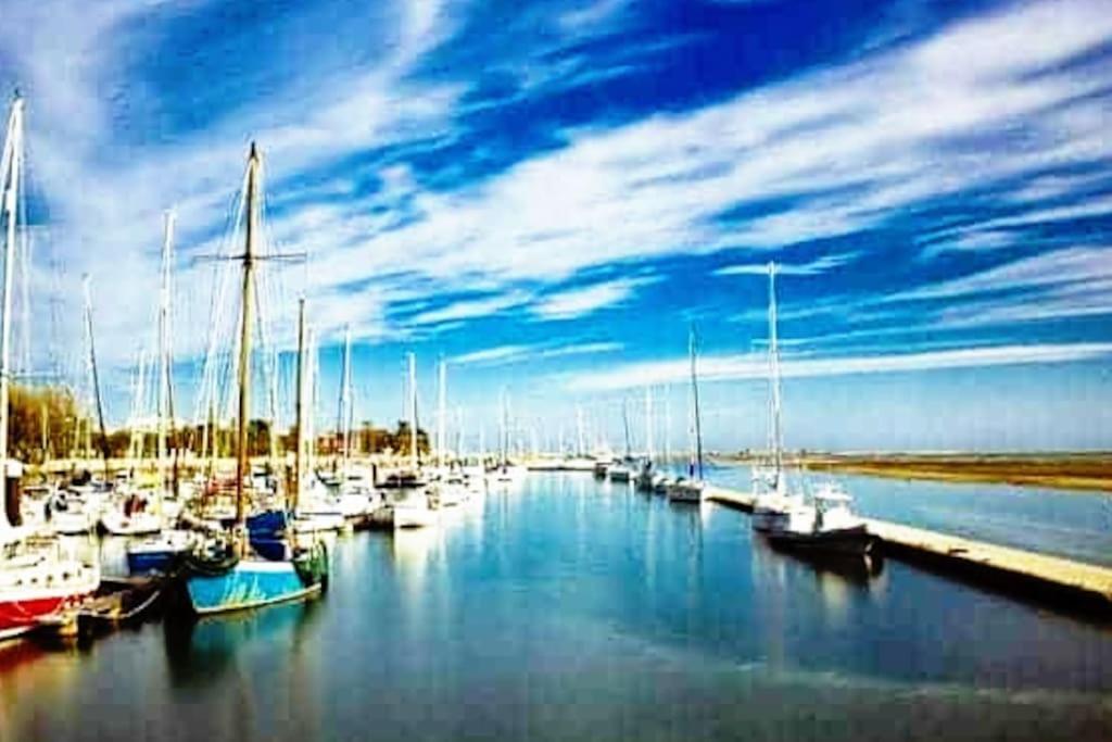 A Gaivota Ria Formosa Waterfront Lux Apart With Pool, Olhao, Algarve Zewnętrze zdjęcie